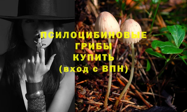 дмт Верея