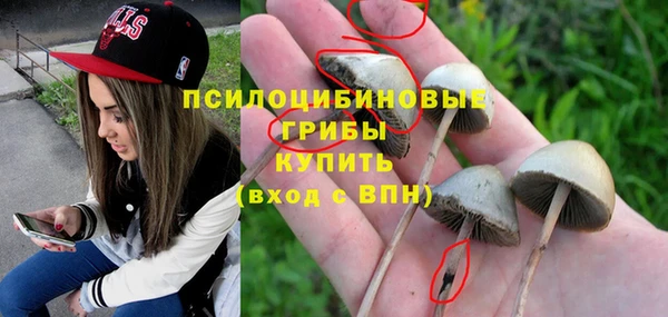 дмт Верея