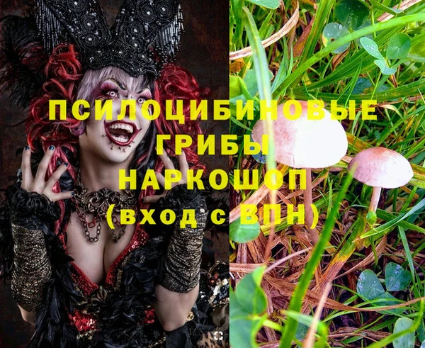 дмт Верея