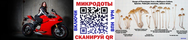 Псилоцибиновые грибы Cubensis  Можайск 
